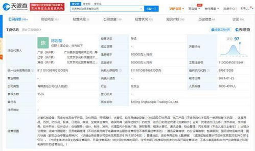 京東關聯公司管理層更迭 王振輝卸任，陳巖磊接棒國內貿易代理業務