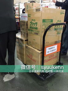 日本正品直郵與現貨 開啟國內貿易代理新機遇